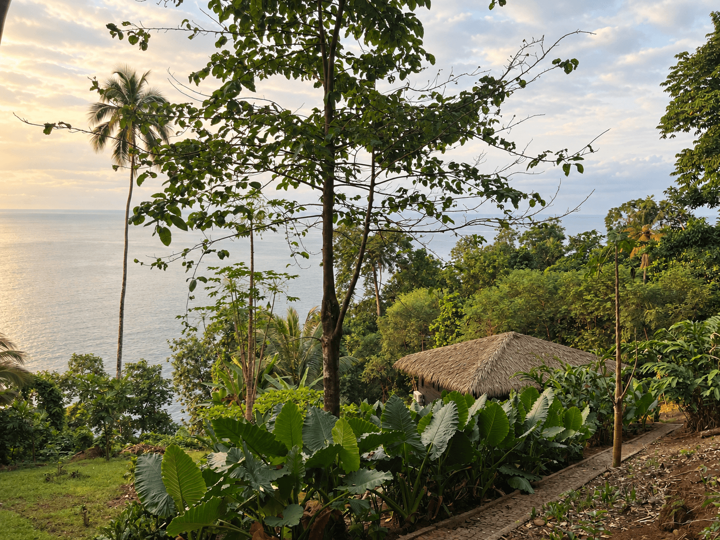 Pôr do sol sobre o oceano visto do jardim, com a cabana de colmo entre grandes folhas tropicais.